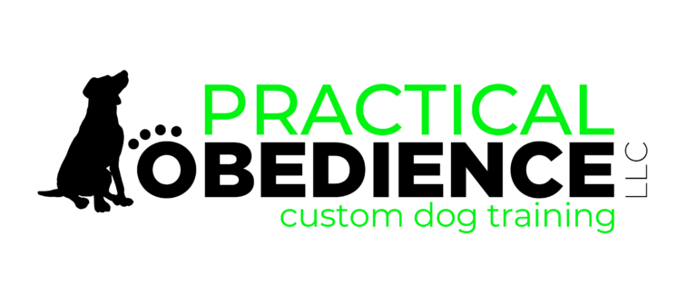 Practical Obedience LLC